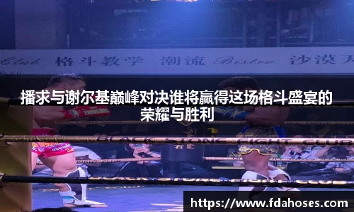 播求与谢尔基巅峰对决谁将赢得这场格斗盛宴的荣耀与胜利